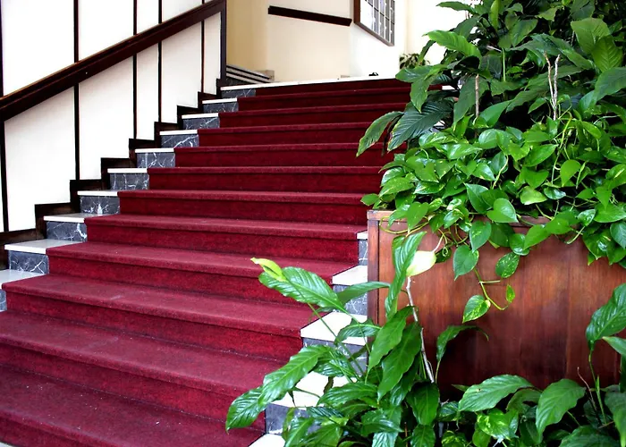 Casa Camilla City